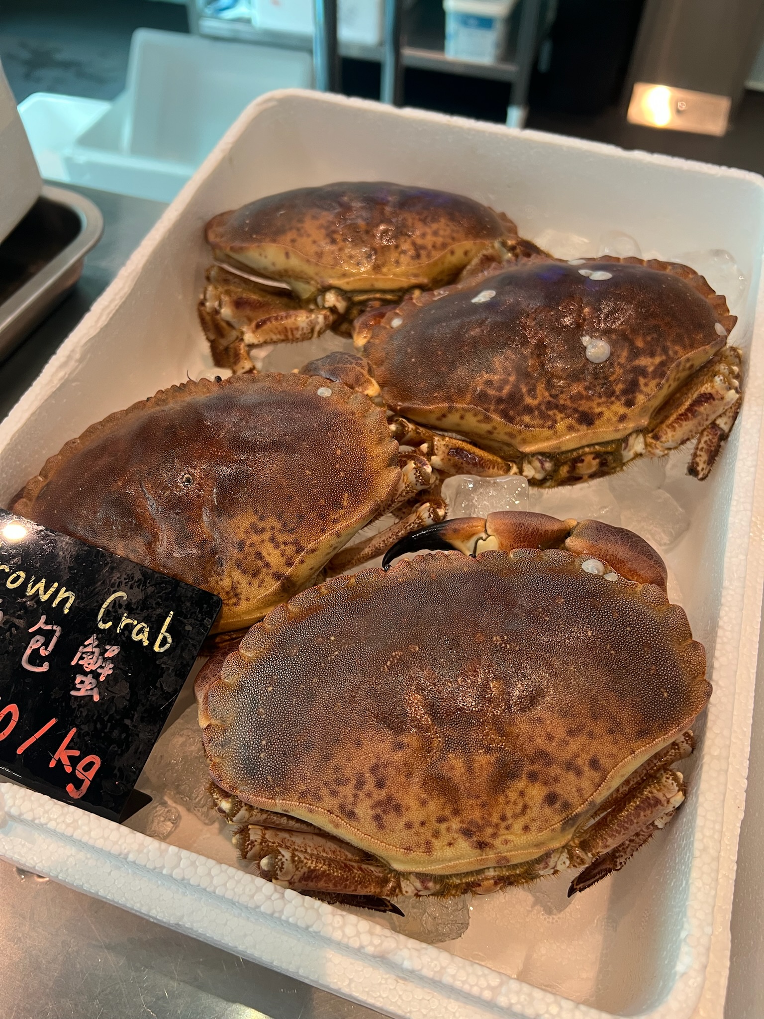 Fresh brown crab