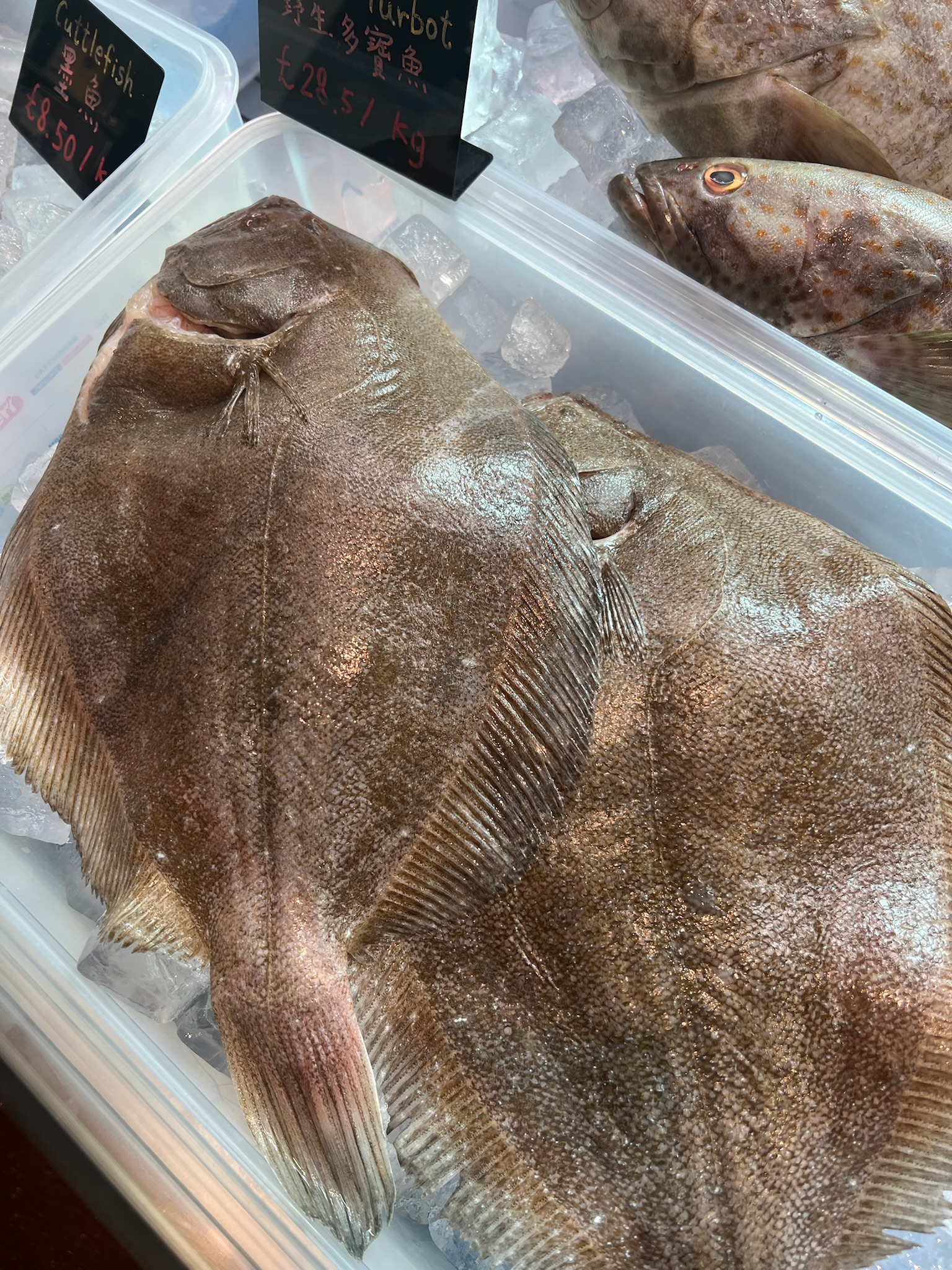 Prepared seafood