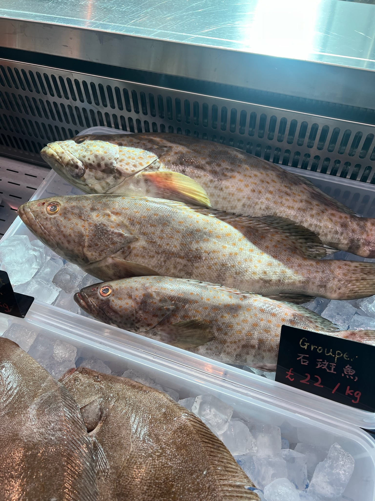 Fresh fish